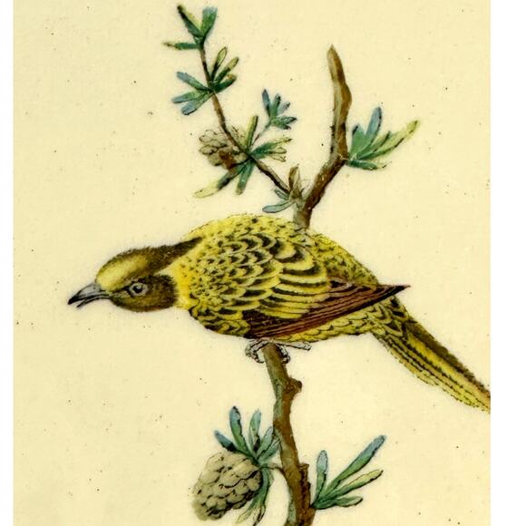 Copeland Spode Aesthetic Movement 1870-1890 Chelsea Bird Butterfly 8 3/8" Plate - Picture 2 of 8